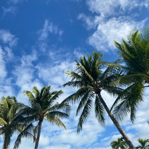 Meet your Posher, Megan - Picture 1 of 1